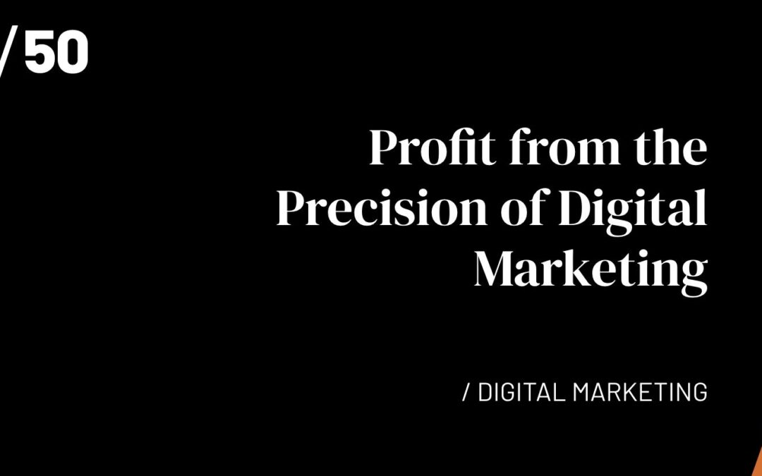 Profit from the Precision of Digital Marketing